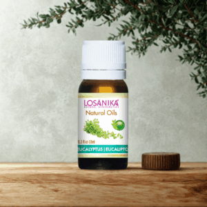 Aceite Esencial de Eucalipto - 10mL