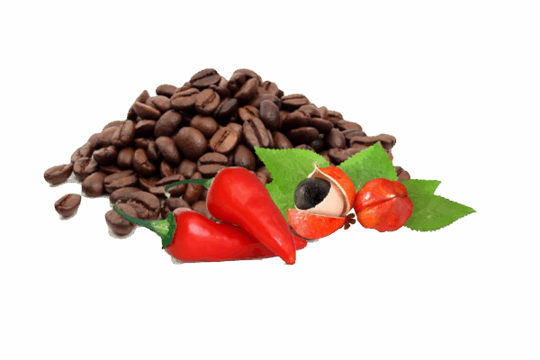 Fito Coffee Moldeadora